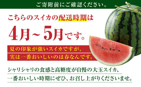 【先行予約】【数量限定】大玉 すいか Lサイズ【株式会社 前田ファーム】[ZCM001]