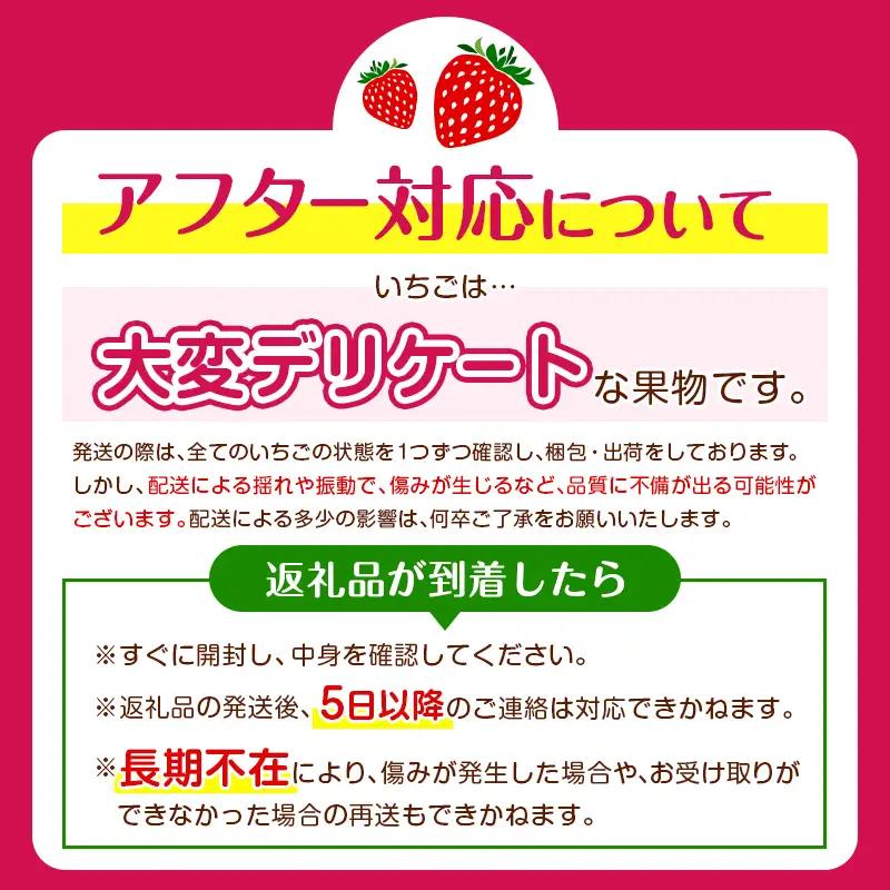 ＜2027年出荷＞先行予約 宮崎県産 いちご「かおり野」計1kg フルーツ 期間限定 デザート ご褒美【B700】