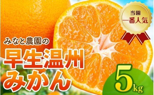 【数量限定】みかん みなと農園の温州みかん 早生 約5kg 2S～Lサイズ混合 【2026年12月上旬頃〜順次発送】みかん ミカン 蜜柑 温州みかん 温州ミカン 柑橘 フルーツ 果物 くだもの 甘い 旬 人気 果汁 濃厚 ジューシー デザート 産地直送 農家直送 みかん 国産 お取り寄せ 新鮮 期間限定 季節限定 先行予約 おすすめ 三重県 熊野市【mntf0009】