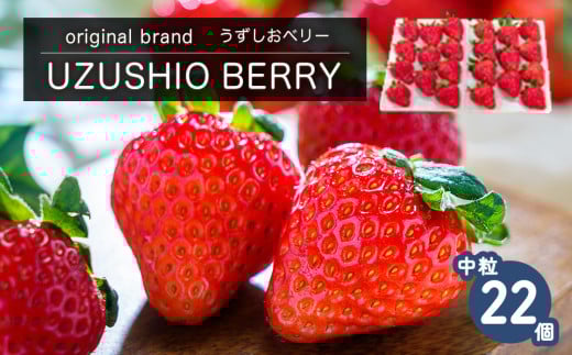 【朝摘みをお届け！】 フルーツガーデンやまがたのいちご「うずしおベリー」中粒22個 【数量限定】 苺 いちご イチゴ 徳島 鳴門 果物 フルーツ ギフト 甘い 旬 紅ほっぺ