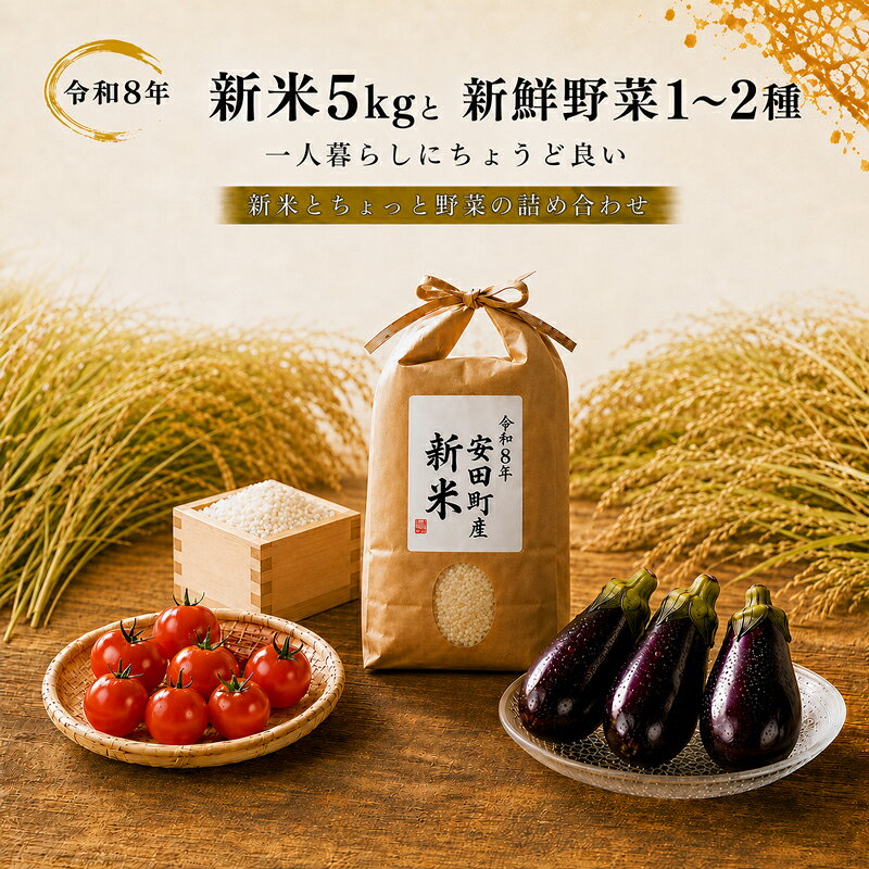 【ふるさと納税】 令和8年 新米 ヒノヒカリ 5kg 野菜の詰め合わせ 米 早期予約 5kg 野菜 セット 詰め合わせ ヒノヒカリ 新米 お米 白米 トマト なす みかん ゆず のり 柚子 じゃがいも 新鮮 採れたて おこめ 安田米 産地直送 TR0002
