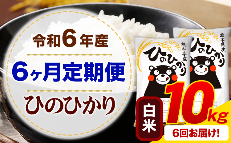 【6ヶ月定期便】令和6年産 白米 ひのひかり 定期便 10kg《申込み翌月から発送》令和6年産 熊本県産 ふるさと納税 精米 ひの 米 こめ ふるさとのうぜい ヒノヒカリ コメ お米---hn6tei_144000_10kg_mo6_mf_h---