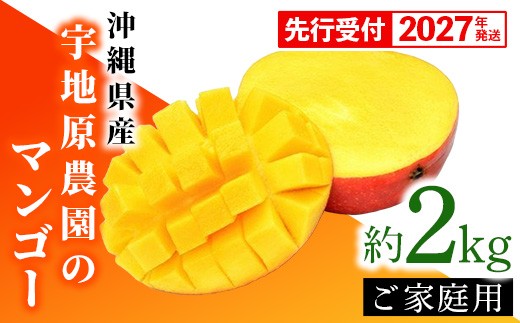 
                  【先行受付】【2027年発送】宇地原農園の沖縄県産 家庭用マンゴー約2kg - 先行予約 沖縄県産 産地直送 南国フルーツ 旬の味覚 季節の果物 ご自宅用 アップルマンゴー 沖縄県 八重瀬町
                