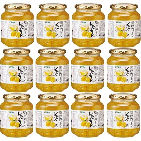 【ふるさと納税】瀬戸内レモンのレモネード600g　1ケース(12本入)合計7200g | 兵庫県 丹波篠山市 カンピー レモネード レモン 檸檬 小分け 個包装