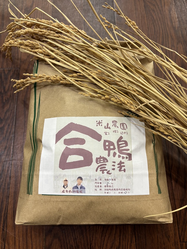 合鴨農法米あきたこまち　玄米5kg お米 あきたこまち
