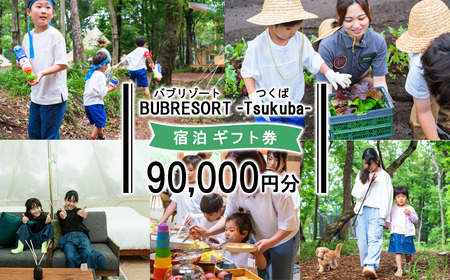 グランピング BUB RESORT Tsukuba 利用クーポン券 90,000円分 宿泊券 グランピング