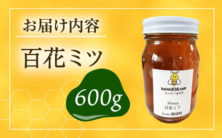 はちみつ 開成町の百花はちみつ 600g [BDAO002]