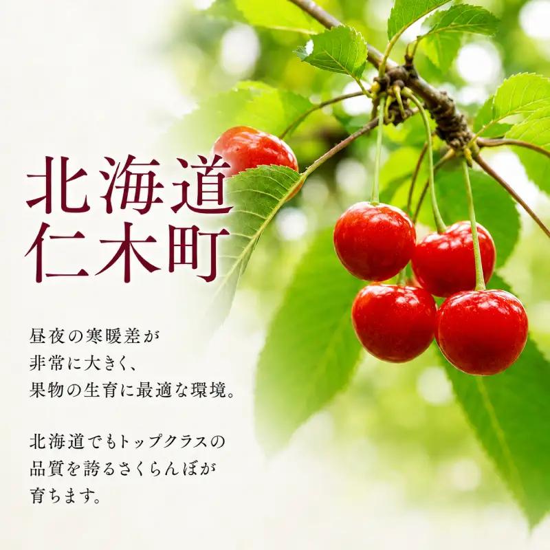 さくらんぼ 800g 佐藤錦 M-L混合 サクランボ