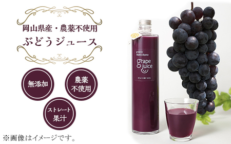 農薬：栽培期間中不使用 ぶどうジュース（ベリーＡ）