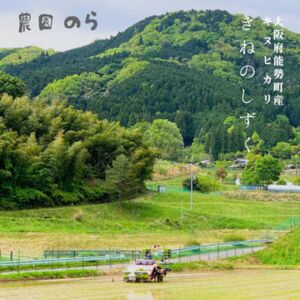 令和7年産きぬひかり「きねのしずく」10kg(玄米)栽培期間中農薬・化学肥料不使用