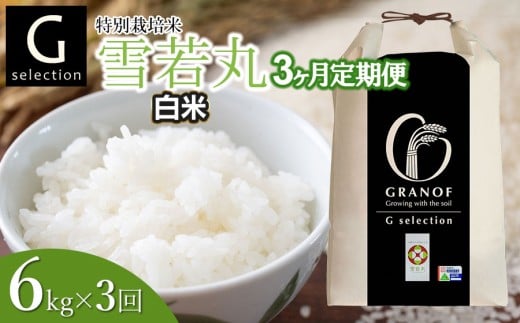 【令和7年産】【新米】【定期便3ヶ月】 Gセレクション 雪若丸「精米」 6kg (6kg×1)×3ヶ月 山形県鶴岡市産　株式会社グラノフ