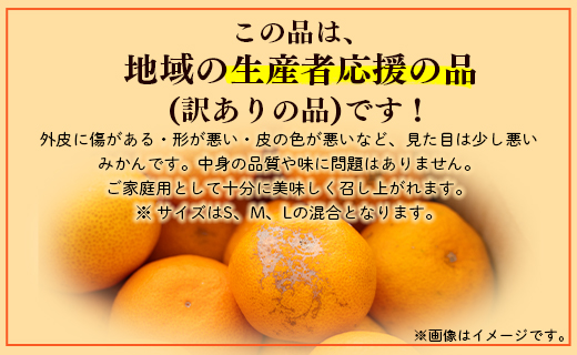 訳あり 山北みかん ご家庭用 3kg 約20～40個入り - 果物 フルーツ 柑橘類 温州みかん ミカン 蜜柑 訳アリ わけあり 生産者応援 甘い おいしい 美味しい 山北みらい 高知県 香南市 yk