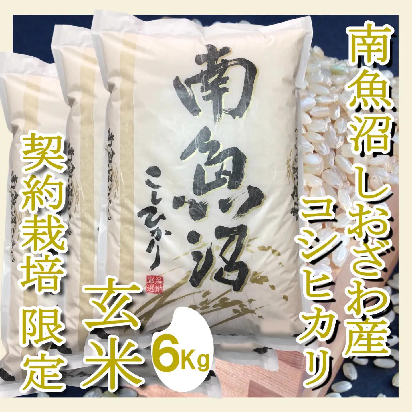 【令和7年】【定期便6Kg×6ヶ月】●玄米● 生産者限定 南魚沼しおざわ産コシヒカリ｜玄米