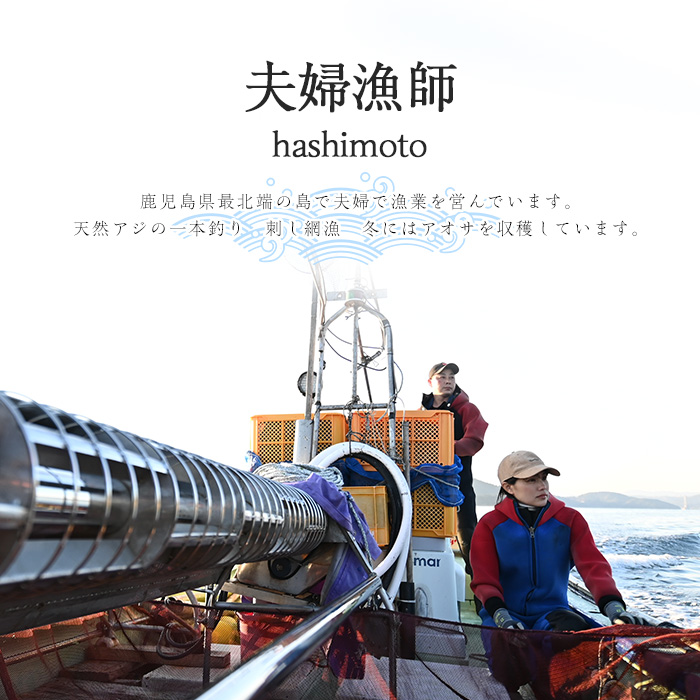 夫婦漁師の乾燥あおさ（10g×10袋）【夫婦漁師Hashimoto】fuufu-942
