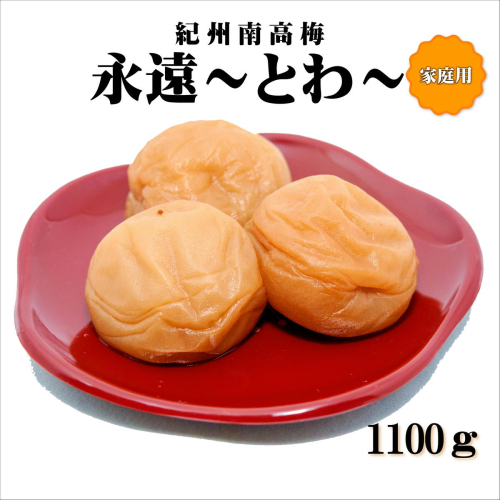 紀州南高梅　永遠～とわ～　1100g　家庭用（B級、C級）