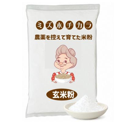 ふるさと納税 真庭市 令和8年 新米パン・ピザ用 ミズホチカラ 玄米粉 9kg (900g ×10) 農薬を抑えて栽培