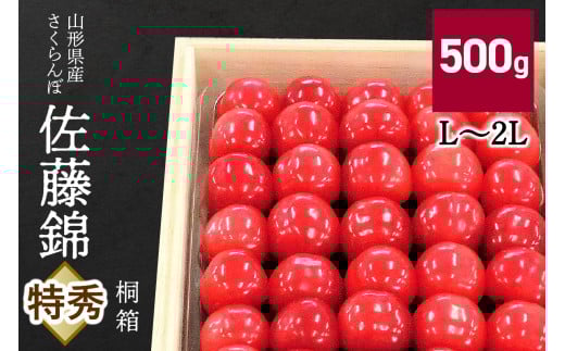 さくらんぼ（佐藤錦）５００ｇ　桐箱入　0056-2509