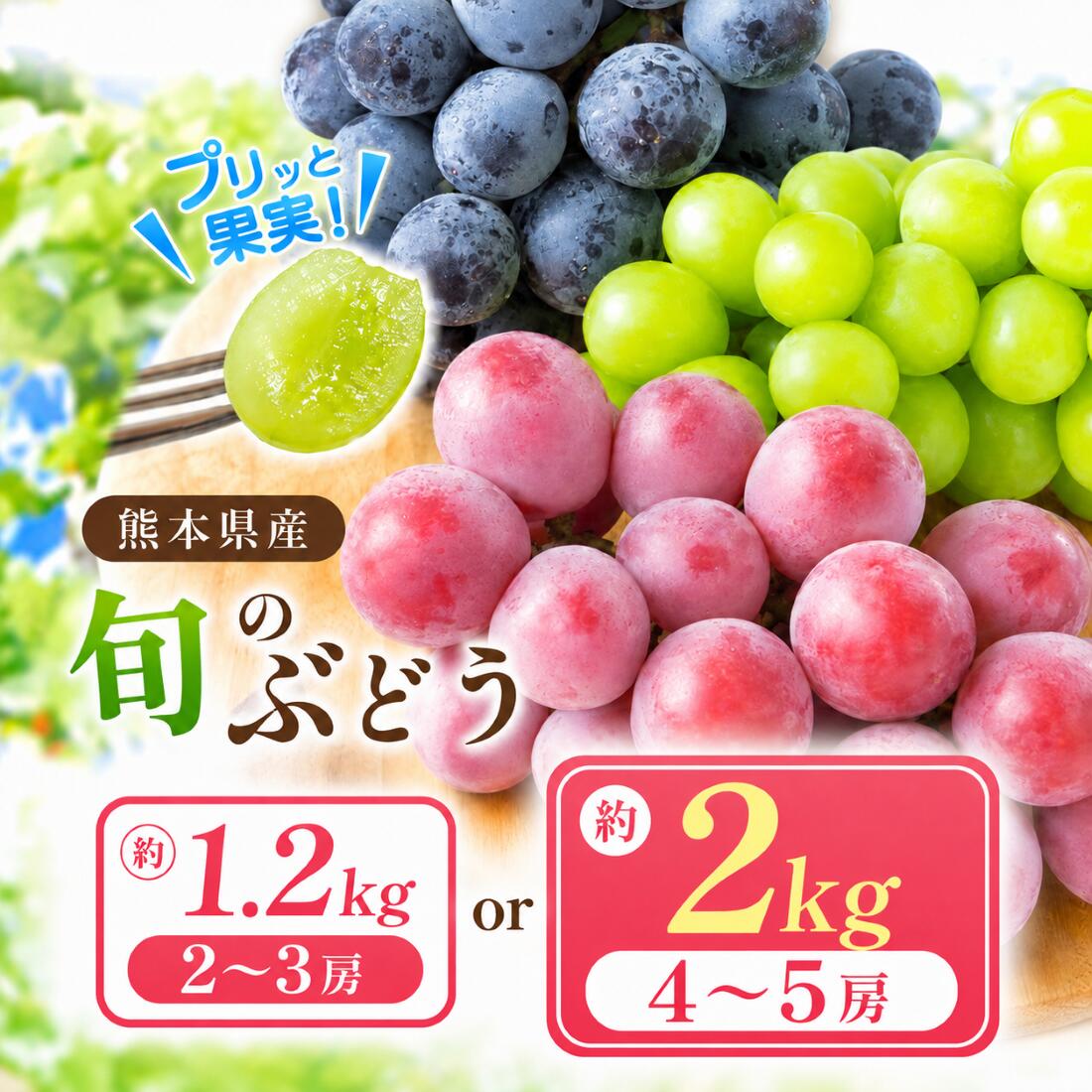 【ふるさと納税】旬の種なし ぶどう と シャインマスカット セット 約1.2kg（2～3房）or約2kg（4～5房） | フルーツ 果物 くだもの ブドウ 葡萄 シャイン マスカット 種なし 種無し 熊本県 玉名市 「 フルーツはぎお 」