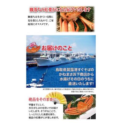 ふるさと納税 若桜町 【先行予約】鳥取県産　訳あり浜茹で松葉がに　2〜3枚で1.2kg以上(1〜4本足落ち) |  | 03