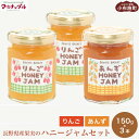 【ふるさと納税】［保存料・化学調味料不使用］ 長野県産果実のハニージャム2種セット 150g×3本 (りんご、あんず) ［手作りジャムの店 マロナップル］ ジャム ギフト フルーツ はちみつ 贈答 長野 信州 小布施 詰合せ 味比べ 食べ比べ 詰め合わせ