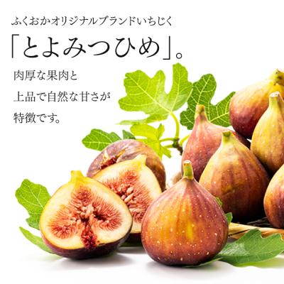 ふるさと納税 新宮町 九州・福岡フルーツ王国より直送.いちじく(とよみつ姫)約1kg/2026年8月〜9月配送.AA267 |  | 01