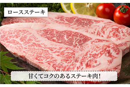 【肉のプロが厳選！】【全6回】佐賀県産和牛 贅沢定期便【株式会社いろは精肉店】 [IAG069]