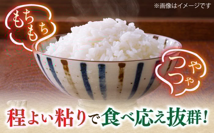 米 こめ コメ お米 白米 精米