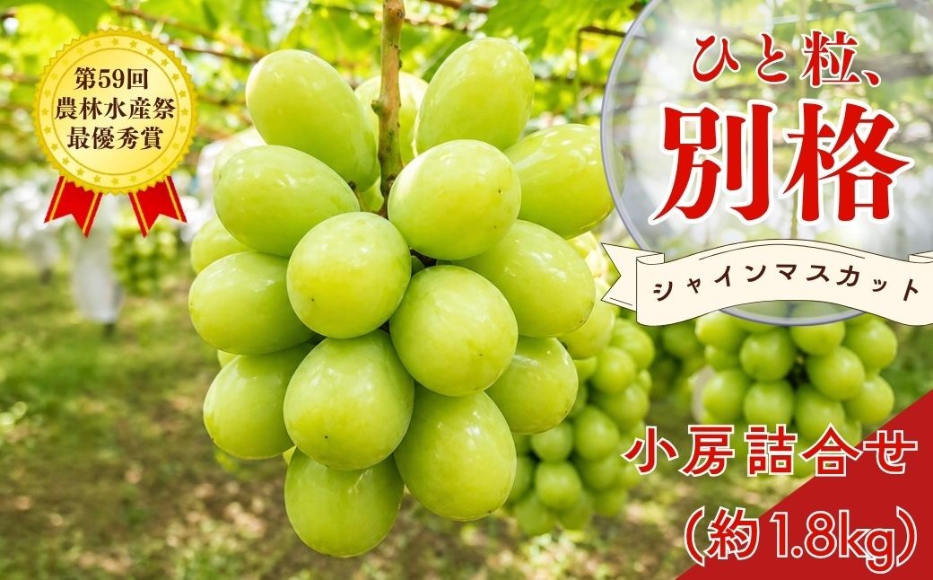 
                  ＊先行予約＊ シャインマスカット 小房詰め合わせパック 約600g×3 約1.8kg  しゃいんますかっと [2026年発送分] 令和８年産 新潟県産シャインマスカット 果物 [こひなた果樹園] 【024S045】
                