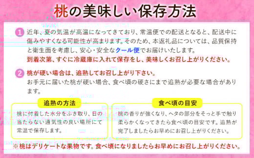 【先行予約】岡山の桃 約750g 《2026年6月下旬-9月上旬頃出荷》 ご家庭用 訳あり 白桃 岡山 旬 モモ もも 先行予約 送料無料 果物 岡山県 笠岡市 清水白桃 白鳳 白麗 クール便