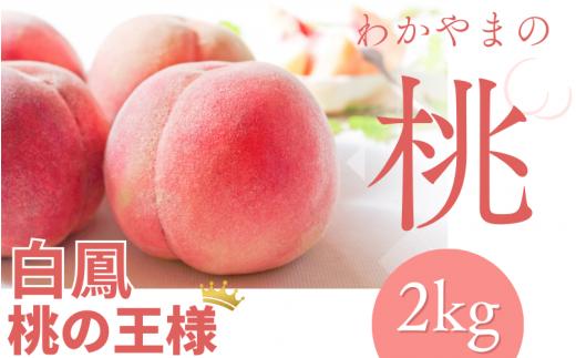 【予約受付】桃の王様 白鳳  約2kg（6個~9個） 2025年6月末頃～2025年7月末頃に順次発送予定（お届け日指定不可）【kgr009】