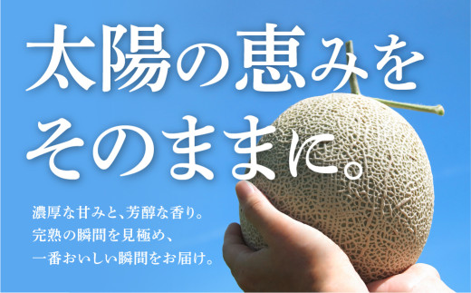 ≪先行予約 2027年発送≫ 温室マスクメロン 2玉 【訳あり】めろん メロン マスクメロン 訳あり わけあり 果物 フルーツ デザート 旬 旬の果物 高糖度 糖度 1万円 10000円 フルーツ先行