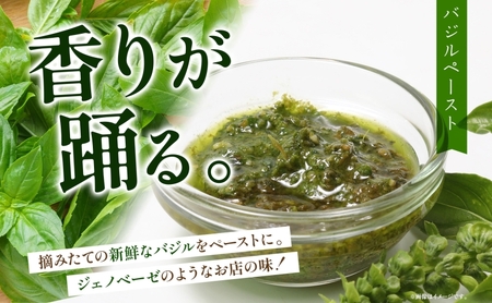 北海道 野菜 瓶詰め 2種 セット〈大〉バジル ペースト 100g セミドライ トマト オイル漬け 95g 各1個 計2個  2026年8月上旬から発送 ハーブ オリーブオイル 乾燥野菜 国産 パスタ