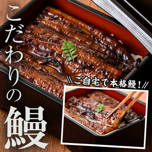 i505-f 【父の日ギフト】鹿児島県産うなぎ蒲焼2尾セット(約140g×2・計約280g) うなぎ 鰻 ウナギ 2尾 蒲焼き 国産 鹿児島県産 焼きたて 生産量日本一 真空パック おかず 晩御飯 特