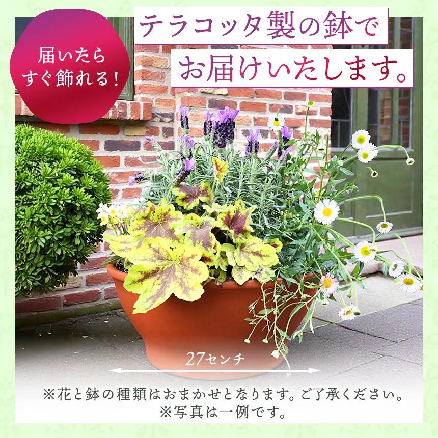 季節 の 寄せ植え ( 内容 おまかせ ) | 花  ガーデニング 英国流 フラワーポット