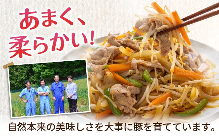 国産 豚肉 豚こま 小間 国産 小分け 豚コマ 豚小間 冷凍 豚こま切れ ぶたこま 薄切り モモ肉 カタ肉 
