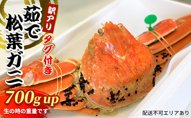 松葉ガニ　茹で　タグ付き　訳アリ　700gup《2024年11月中旬～12月中旬、もしくは、2025年1月中旬以降以降順次発送》