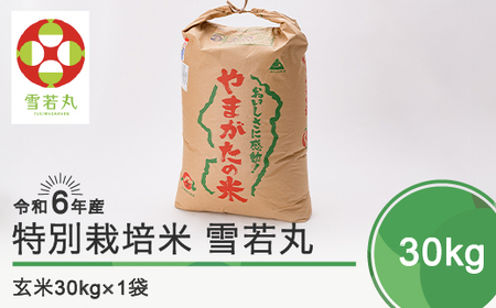 新米 令和6年産 米 雪若丸 30kg 大石田町産 特別栽培米 玄米 備蓄 防災 支援 農家 業務用 ※沖縄・離島への配送不可 ja-yugxb30