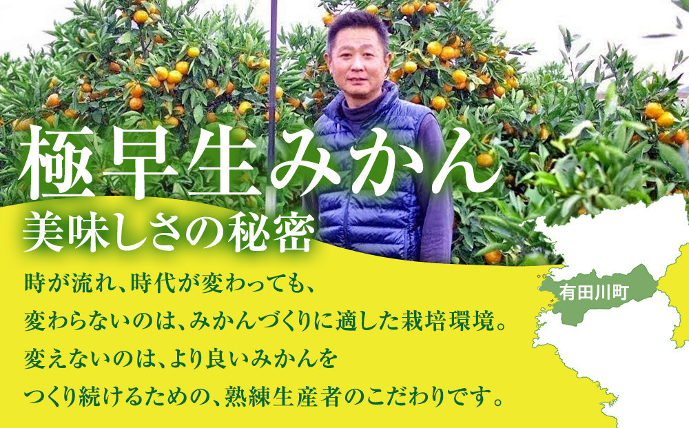 有田みかん専門店 有田の太陽®ファミリー 極早生 有田みかん 9.5kg＋補償分100g 山採れ・サイズ・等級 混合