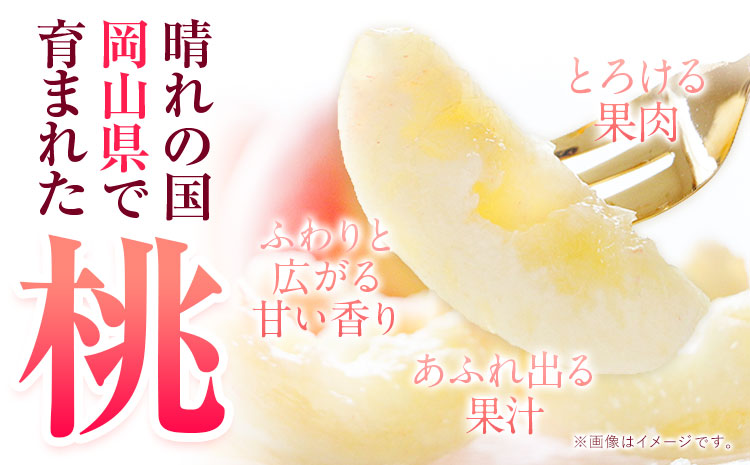 【特別企画】桃 もも 白桃 岡山の桃 もも 750g 3玉前後 岡山県産 《最短翌日！1-5営業日以内に出荷（土日祝除く）》白桃 桃 もも 桃 白桃 桃 岡山白桃 桃 ---asakuchi_lcl_