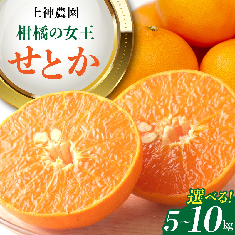【ふるさと納税】先行予約 みかん 上神農園 広島県産 せとか 約 5kg / 約 10kg 【 2027年 2月初旬～発送】蜜柑 フルーツ 果物 柑橘 ジューシー ビタミンC 柑橘の女王 国産 国内産 お取り寄せ 送料無料 産地直送 瀬戸内海 オレンジ 大容量 常温 広島県 呉市