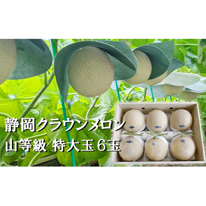 クラウンメロン【上（山等級）】特大玉（1.5kg前後）6玉入り 人気 厳選 ギフト 贈り物 デザート グルメ 果物 袋井市 果物類 メロン青肉 フルーツ 