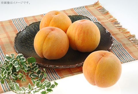 【ご家庭用】おかやまの「黄金桃」 大玉3玉（約900g）