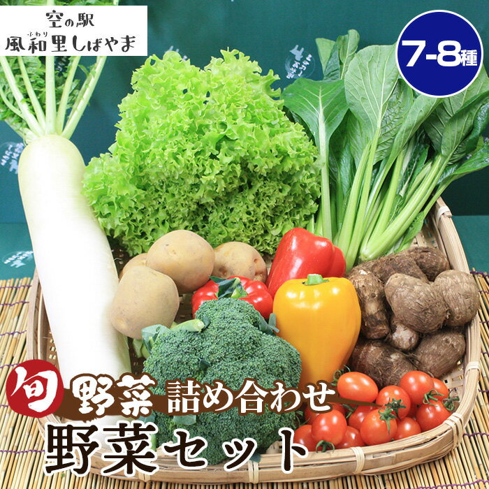 【ふるさと納税】No.061 野菜セット（7～8種） ／ 野菜 季節の野菜 旬 新鮮 自慢の逸品 詰め合わせ 送料無料 千葉県