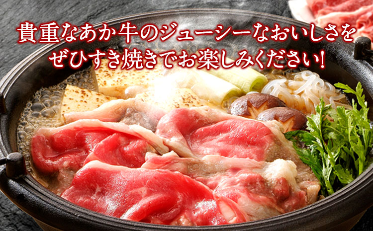 肥後のあか牛 すき焼き用 500g 《90日以内に出荷予定(土日祝除く)》 長洲501 熊本 特産 あか牛