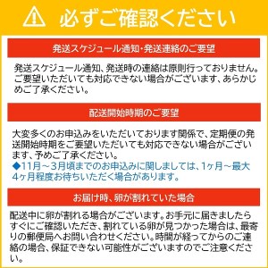 022AB01N.タズミの卵（30個×3ヶ月）【2024年5月以降順次発送】