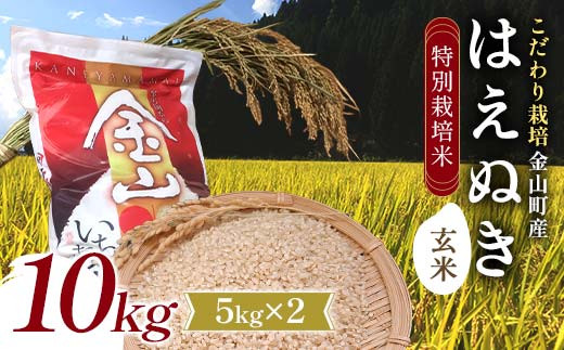 【令和7年度産】【数量限定】 特別栽培米 はえぬき 玄米5kgｘ2(10kg) 米 お米 ご飯 ブランド米 F4B-0757