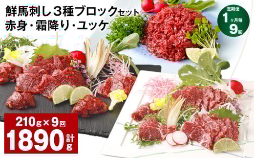 【1ヶ月毎9回定期便】鮮馬刺し 3種ブロックセット（赤身・霜降り・ユッケ）