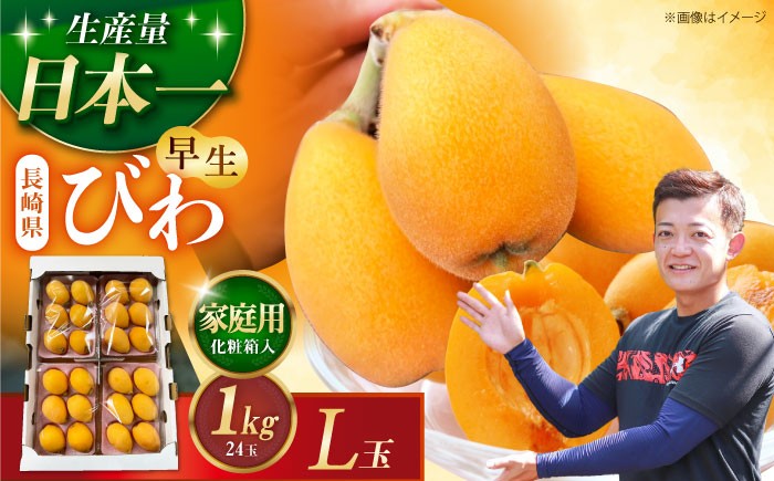
                  【先行予約】長崎県産ハウスびわ(早生)1kg L玉24玉 家庭用 長崎県/森保農園 [42AACO002] びわ ビワ 枇杷 1キロ 長崎 季節もの フルーツ 果物 先行予約 
                