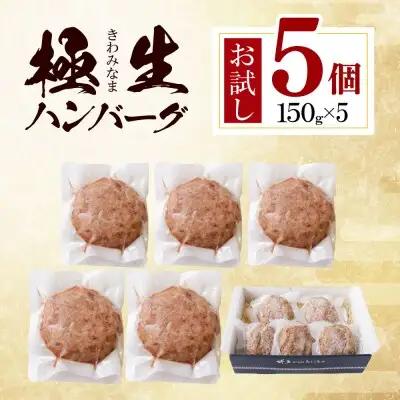 Y61-37 極生ハンバーグ 5個セット(150g×5) ハンバーグ