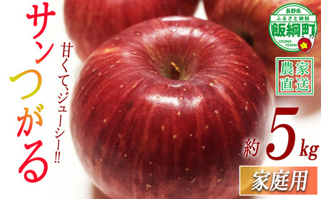 りんご サンつがる 家庭用 5kg 沖縄県への配送不可 2026年9月上旬から2026年9月中旬まで順次発送予定 令和8年度収穫分 静谷りんご園 減農薬栽培 信州の環境にやさしい農産物認証 長野県 飯綱町 [1788]